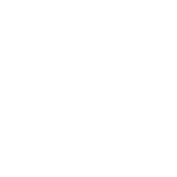a mouse